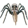 Araña Mygale 3D - Bones & More