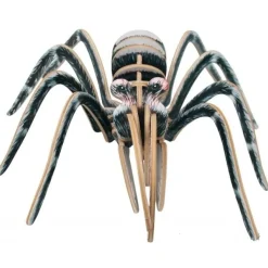 Araña Mygale 3D - Bones & More