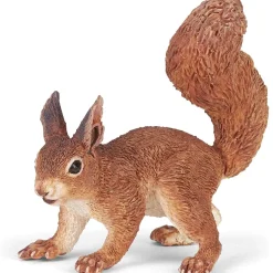 Ardilla - Papo