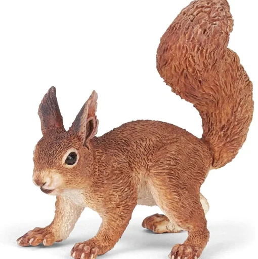 Ardilla - Papo