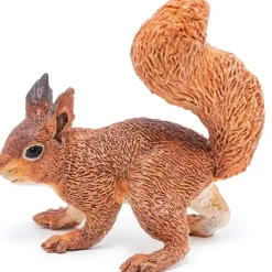 Ardilla - Papo
