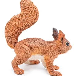 Ardilla - Papo