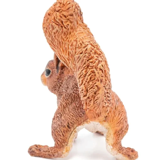 Ardilla - Papo