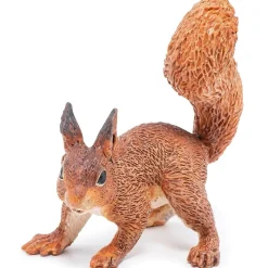 Ardilla - Papo