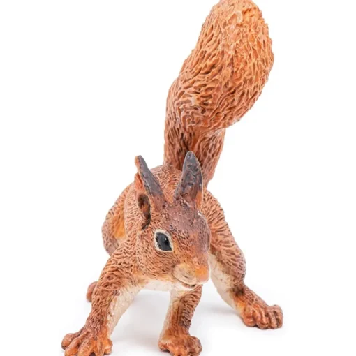 Ardilla - Papo