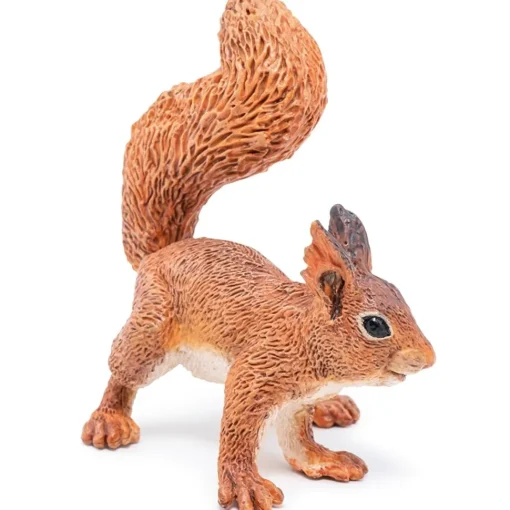 Ardilla - Papo