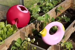 Arrosoir Cana - Rosa Plátano - Quut