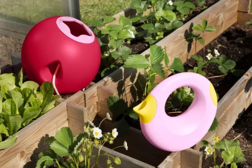 Arrosoir Cana - Rosa Plátano - Quut