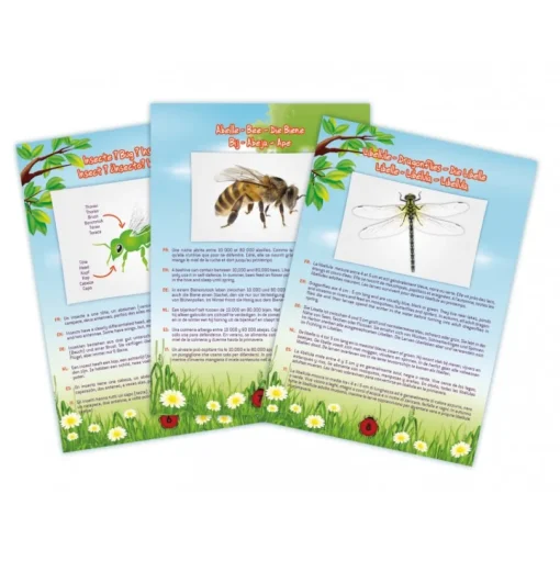Aspirador de insectos - Buki France