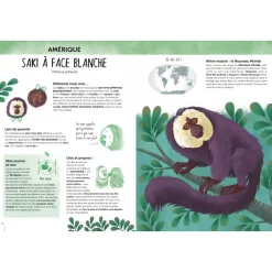Atlas de la Biodiversidad - Animales insólitos y curiosos - Sassi Junior