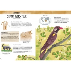 Atlas de la Biodiversidad - Animales insólitos y curiosos - Sassi Junior