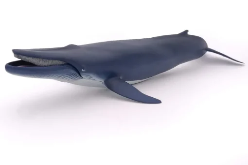 Ballena azul - Papo