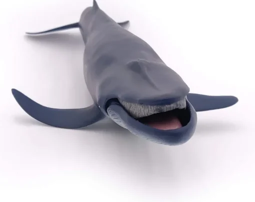 Ballena azul - Papo
