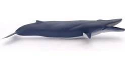 Ballena azul - Papo