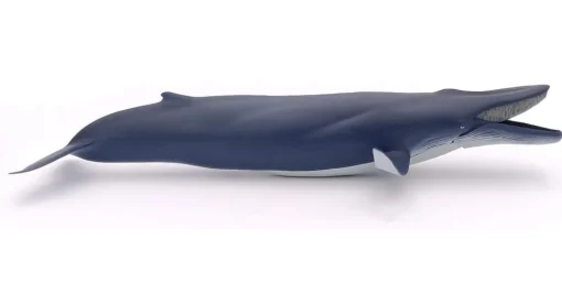 Ballena azul - Papo