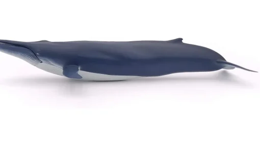 Ballena azul - Papo