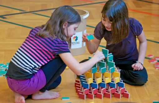 Boite de 200 dominos Pestas - Pestas