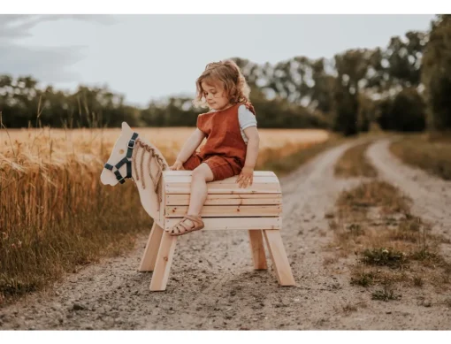 Caballo de madera compacto - Small foot company