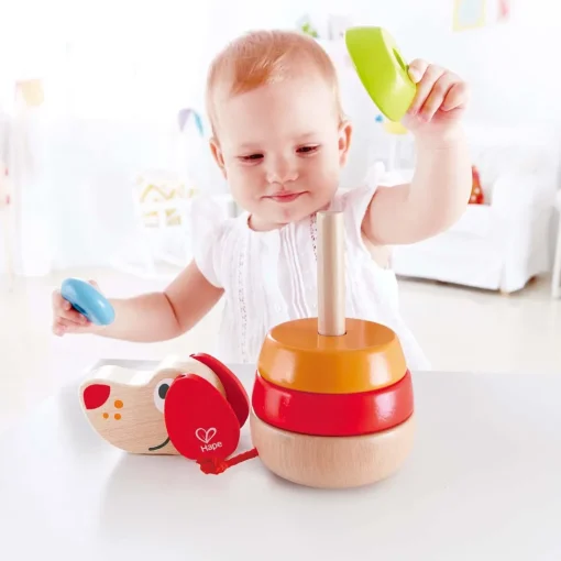 Cachorro Arco Iris - Hape Toys
