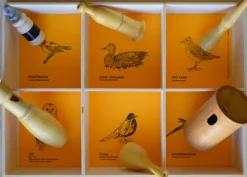 Caja de 6 cantos de pájaros - American Birds - Quelle est Belle Company