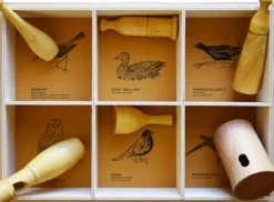 Caja de 6 cantos de pájaros - Western American Birds - Quelle est Belle Company