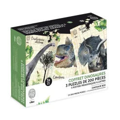 Caja de 3 puzzles y carteles de dinosaurios - Vilac