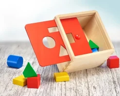 Caja de formas - Selecta