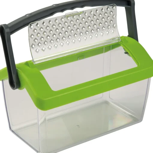 Caja de insectos - Haba