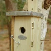 Caja nido para reyezuelos - Esschert Design