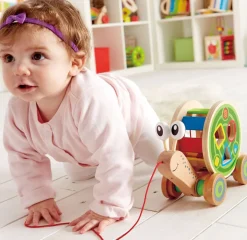 Caracol multifuncional - Hape Toys