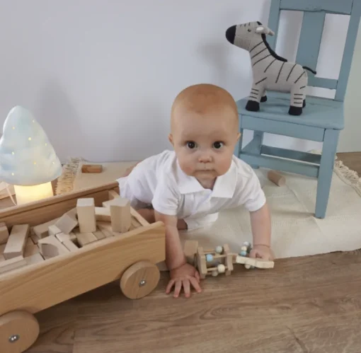 Carro con bloques de madera - Egmont Toys