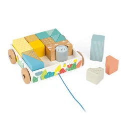 Carro de cubo de paseo puro - Janod