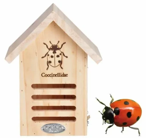 Caseta refugio de madera para mariquitas - Esschert Design