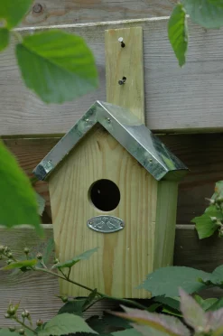 Casita de pájaros verde - Esschert Design