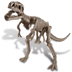 Cava un esqueleto de dinosaurio T-Rex - 4M