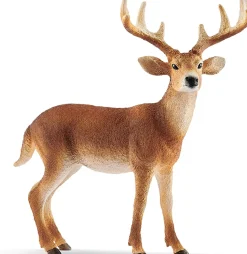 Cerf De Virginie - Schleich