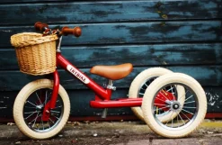 Cesta de la bicicleta - Trybike
