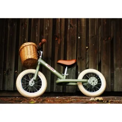 Cesta de la bicicleta - Trybike