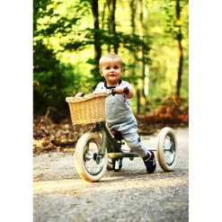 Cesta de la bicicleta - Trybike
