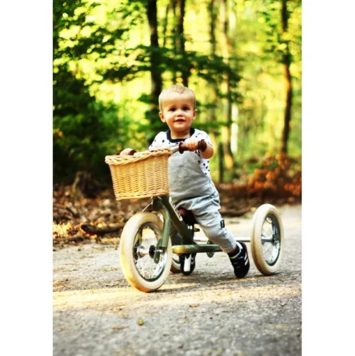 Cesta de la bicicleta - Trybike