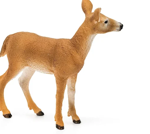Ciervo de cola blanca - Schleich