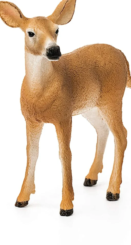 Ciervo de cola blanca - Schleich