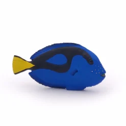 Cirujano de peces - Papo
