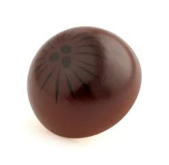 Coco - Erzi