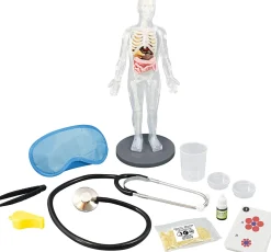 Cuerpo humano - Buki France