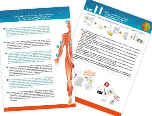 Cuerpo humano - Buki France