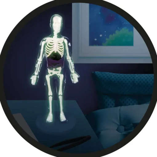 Cuerpo humano - Buki France