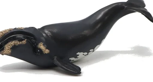 Estatuilla ballena franca negra joven Papo