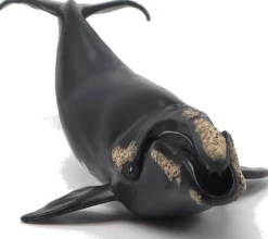 Estatuilla ballena franca negra joven Papo