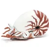 Estatuilla de Nautilus - Papo